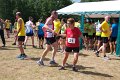 De aflossingszone 2013 - 036